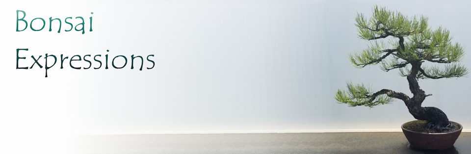 Anime, Gaming, and My Life